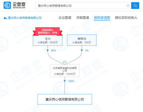 美团旗下公司拓展业务版图，新增企业信用信息咨询与重庆软件开发业务